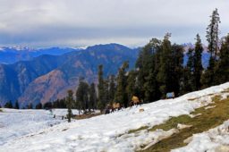 Top 12 Winter Treks in India: Easy Yet Challenging